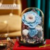 Eternal Rose Glass Dome Light Decor