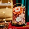 Eternal Rose Glass Dome Light Decor
