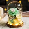 Eternal Rose Glass Dome Light Decor