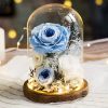 Eternal Rose Glass Dome Light Decor