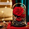 Eternal Rose Glass Dome Light Decor
