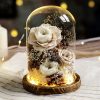 Eternal Rose Glass Dome Light Decor