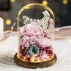 Eternal Rose Glass Dome Light Decor