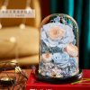 Eternal Rose Glass Dome Light Decor