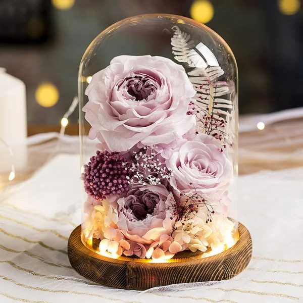 Eternal Rose Glass Dome Light Decor