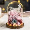 Eternal Rose Glass Dome Light Decor