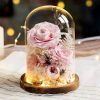 Eternal Rose Glass Dome Light Decor
