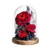Eternal Rose Glass Dome Light Decor