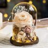Eternal Rose Glass Dome Light Decor
