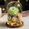 Eternal Rose Glass Dome Light Decor