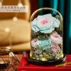 Eternal Rose Glass Dome Light Decor