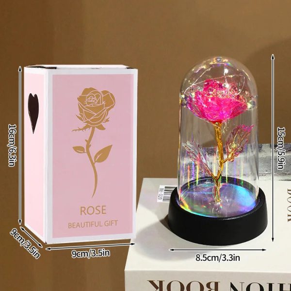 Eternal Rose in Glass Dome Decorative Flower Gift for Girlfriend