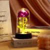 Eternal Rose in Glass Dome Decorative Flower Gift for Girlfriend