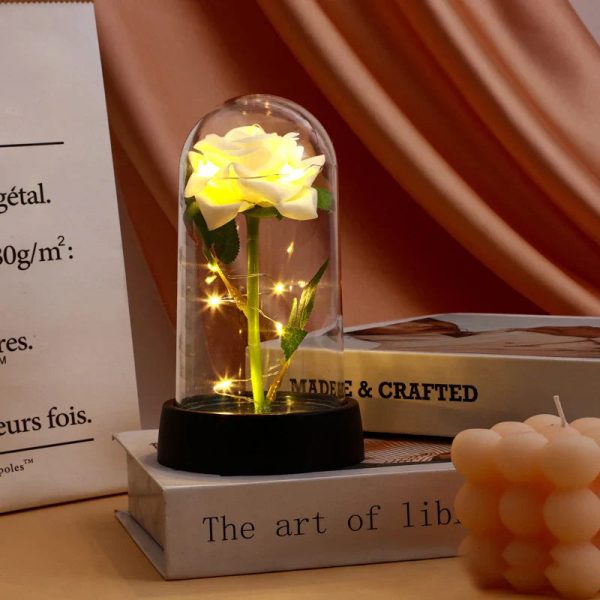 Eternal Rose in Glass Dome Decorative Flower Gift for Girlfriend