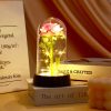 Eternal Rose in Glass Dome Decorative Flower Gift for Girlfriend