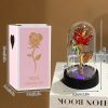 Eternal Rose in Glass Dome Decorative Flower Gift for Girlfriend