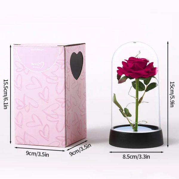 Eternal Rose in Glass Dome Decorative Flower Gift for Girlfriend