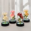 Eternal Rose in Glass Dome Decorative Flower Gift for Girlfriend