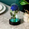 Eternal Rose in Glass Dome Decorative Flower Gift for Girlfriend