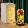 Eternal Rose in Glass Dome Decorative Flower Gift for Girlfriend