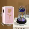 Eternal Rose in Glass Dome Handmade Artificial Flower for Gifts and Decoration