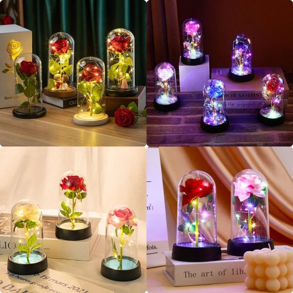 Eternal Rose in Glass Dome Handmade Artificial Flower for Gifts and Decoration