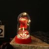 Eternal Rose in Glass Dome Handmade Artificial Flower for Gifts and Decoration