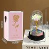 Eternal Rose in Glass Dome Handmade Artificial Flower for Gifts and Decoration