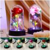 Eternal Rose in Glass Dome Handmade Artificial Flower for Gifts and Decoration