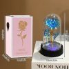 Eternal Rose in Glass Dome Handmade Artificial Flower for Gifts and Decoration