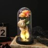 Eternal Rose in Glass Dome with Bear Gift for Special Occasions