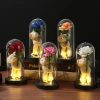 Eternal Rose in Glass Dome with Bear Gift for Special Occasions