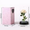 Eternal Rose in Glass Dome with LED Light – Romantic Gift for Valentine’s Day, Christmas, or Birthday