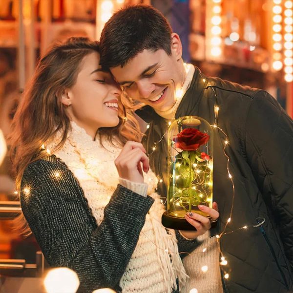 Eternal Rose in Glass Dome with LED Light – Romantic Gift for Valentine’s Day, Christmas, or Birthday