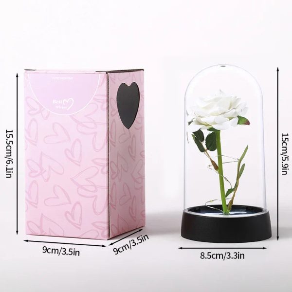 Eternal Rose in Glass Dome with LED Light – Romantic Gift for Valentine’s Day, Christmas, or Birthday