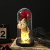 Eternal Rose in Glass Dome with LED Light – Romantic Gift for Valentine’s Day, Christmas, or Birthday