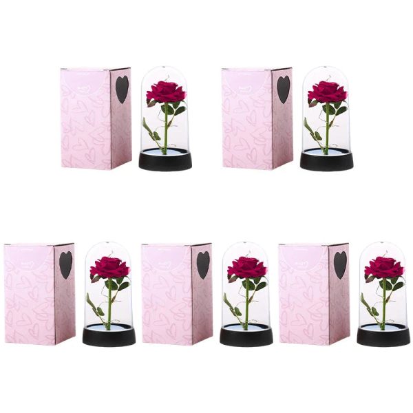 Eternal Rose in Glass Dome with LED Light – Romantic Gift for Valentine’s Day, Christmas, or Birthday