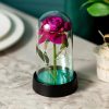 Eternal Rose in Glass Dome with LED Light – Romantic Gift for Valentine’s Day, Christmas, or Birthday