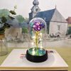 Eternal Rose Lamp LED Artificial Silk Flower Creative Gift for Valentine’s Day and Mother’s Day