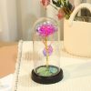 Eternal Rose LED Glass Flower Display