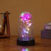 Eternal Rose LED Light Glass Dome