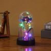 Eternal Rose LED Light Glass Dome