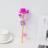 Eternal Rose LED Light Glass Dome
