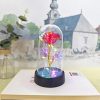 Eternal Rose LED Light Glass Dome