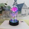 Eternal Rose LED Light Glass Dome