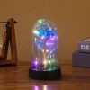 Eternal Rose LED Light Glass Dome