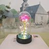 Eternal Rose LED Light Glass Dome