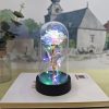 Eternal Rose LED Light Glass Dome