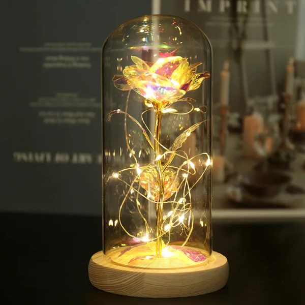 Eternal Rose LED Light in Glass Dome for Romantic Gifts