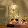 Eternal Rose LED Light in Glass Dome for Romantic Gifts